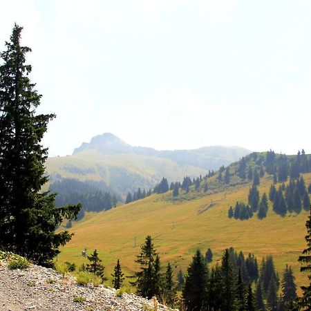 Appartement Confortable A Thollon-Les-Memises Avec Vue ภายนอก รูปภาพ
